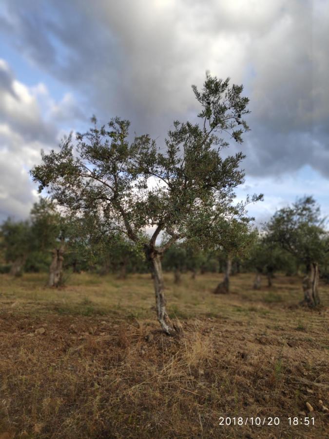 Apartamento turístico SINUHÉ Appartamento Gata Esterno foto